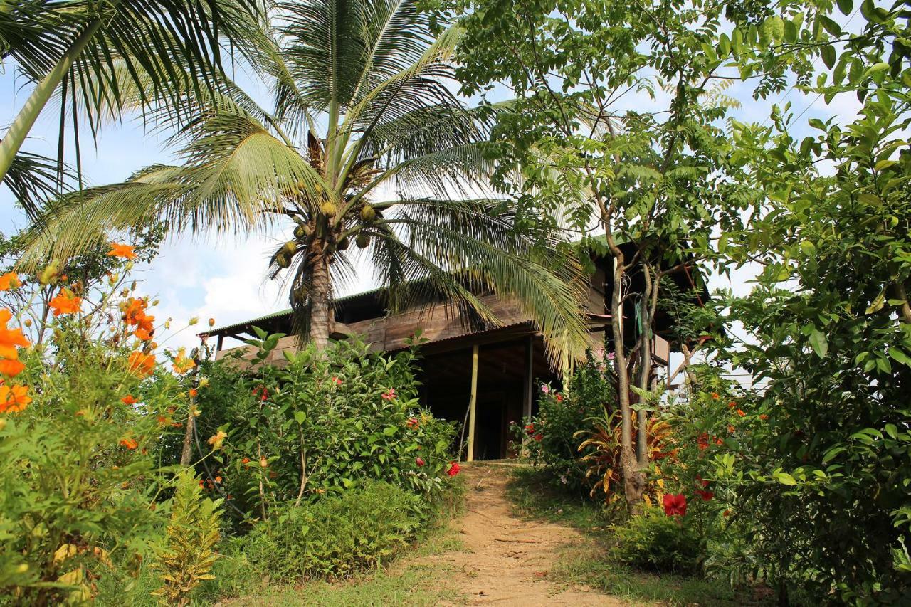 Posada La Ofelia El Zaino Extérieur photo